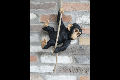 Swinging Monkey