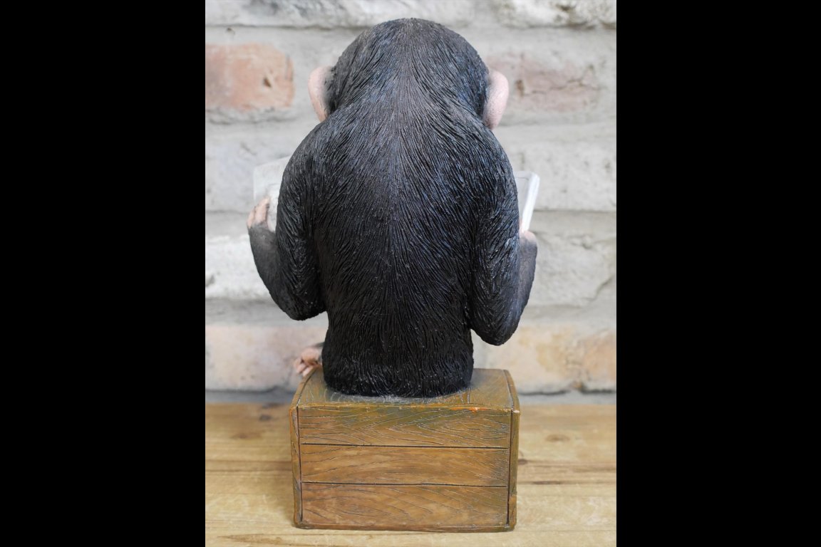 Monkey Reading The News