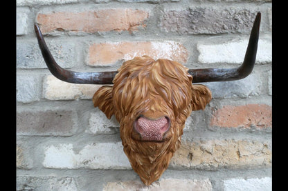 Cow Head