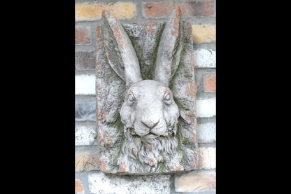 Rabbit Head