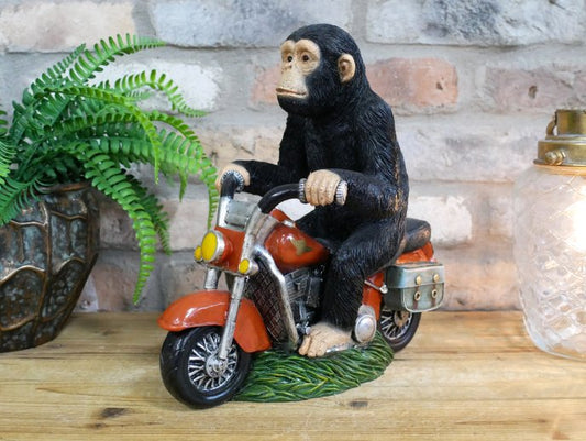Monkey On Motorbike