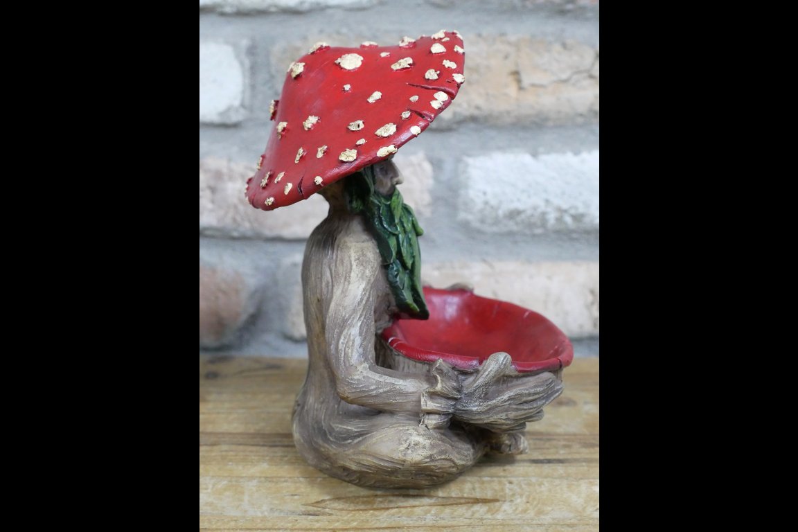 Mushroom Man