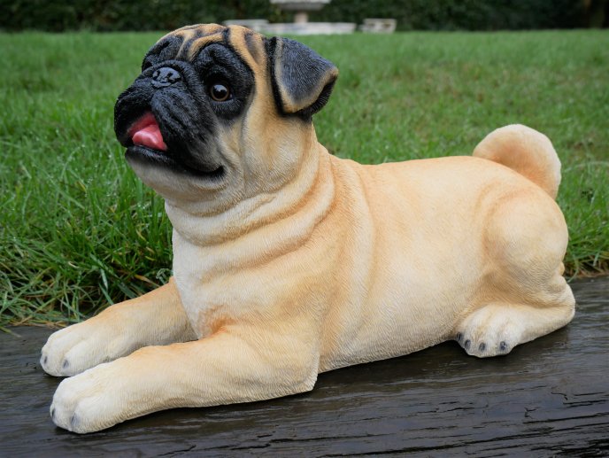 Laying Dog