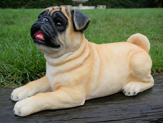 Laying Dog