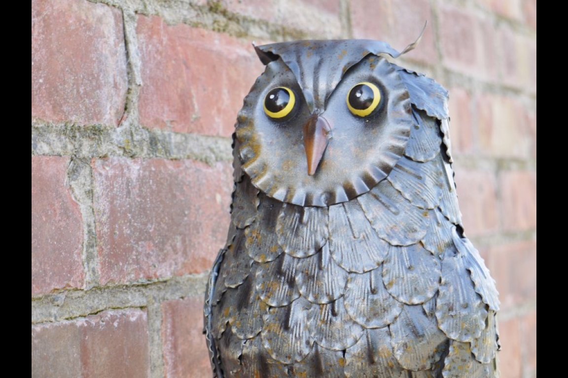 Owl Wall Decoration