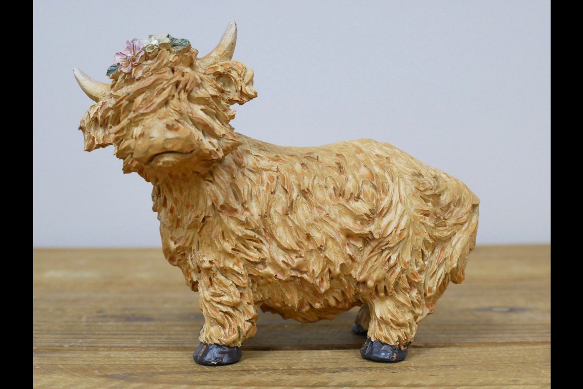 Highland Cow With Flower Headband