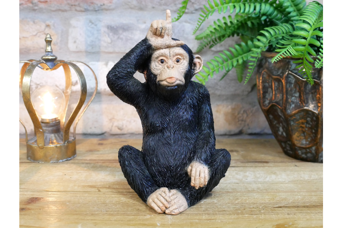 Little Loser Monkey