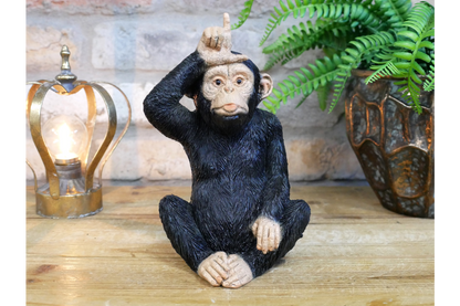 Little Loser Monkey