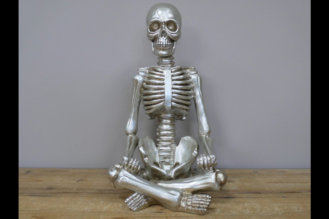 Yoga Skeleton