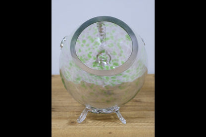 Big Mouth Glass Fish