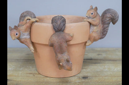 Set Of 3 Squirrel Pot Hangers