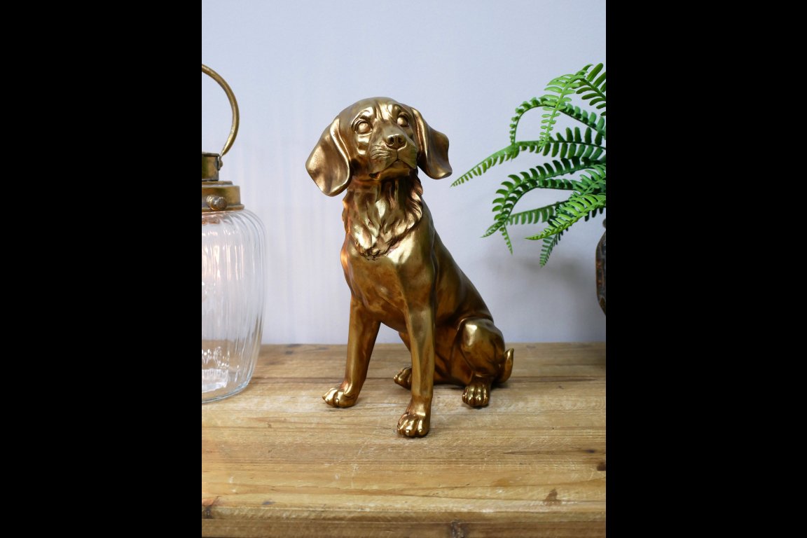 Golden Dog