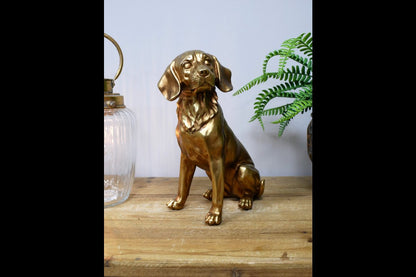 Golden Dog
