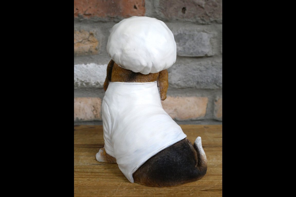 Dog Chef