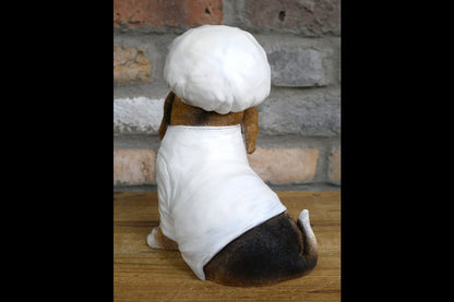 Dog Chef