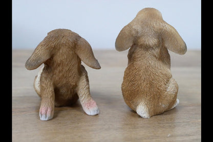 Mini Rabbits