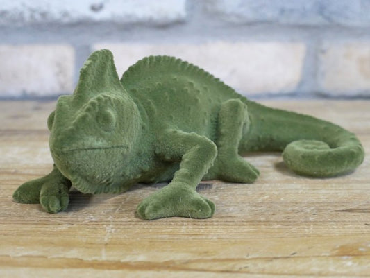 Geko