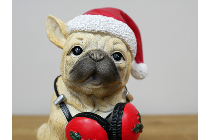 Dog With Headphones