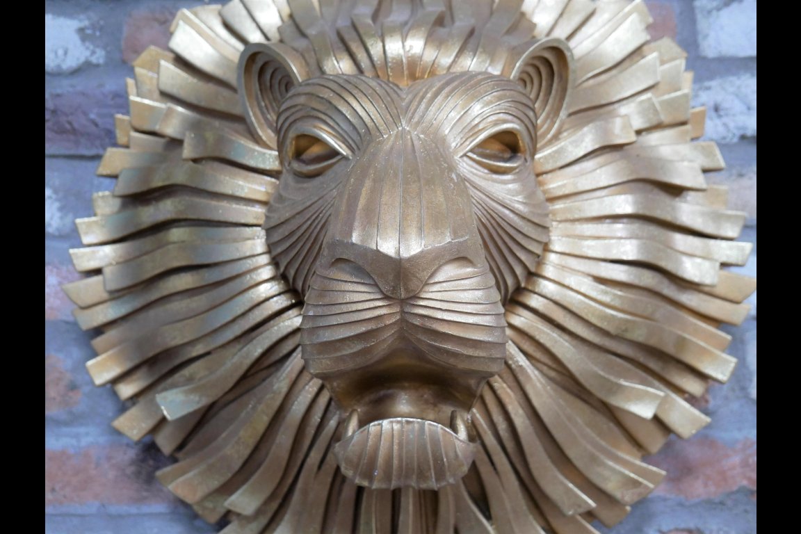 Lion Head