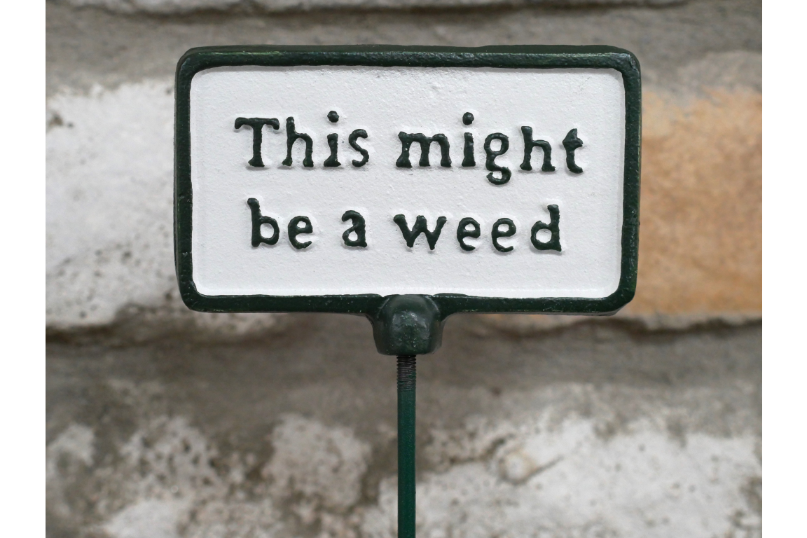 Plant Sign - Be A Weed