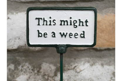 Plant Sign - Be A Weed