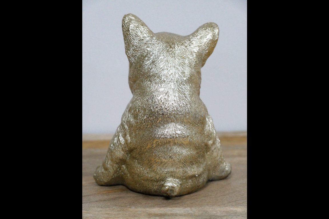 Sitting Dog