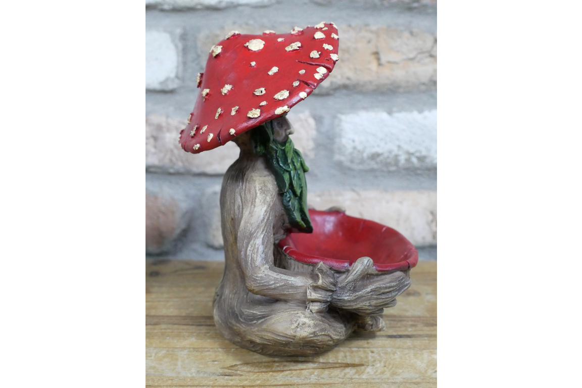 Mushroom Man