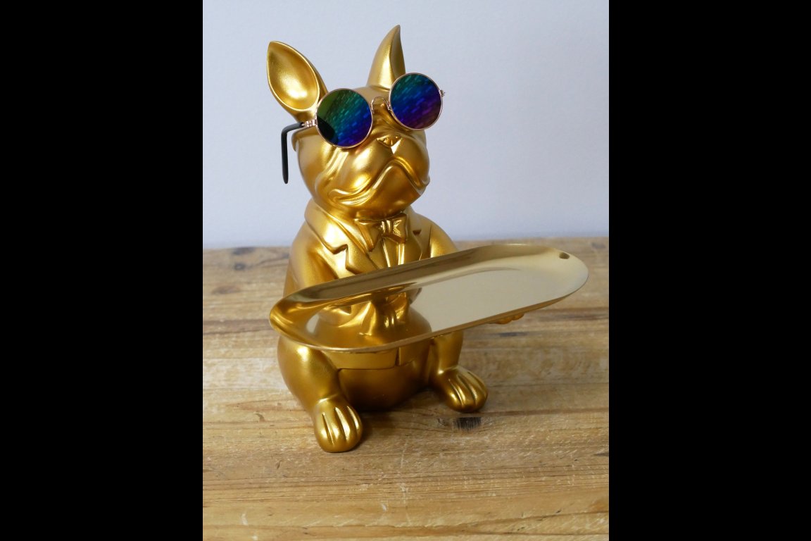 Dog With Tray