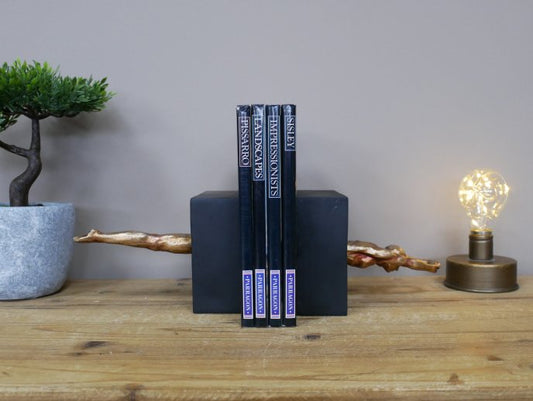 Diving Bookends