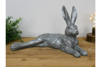 Laying Hare