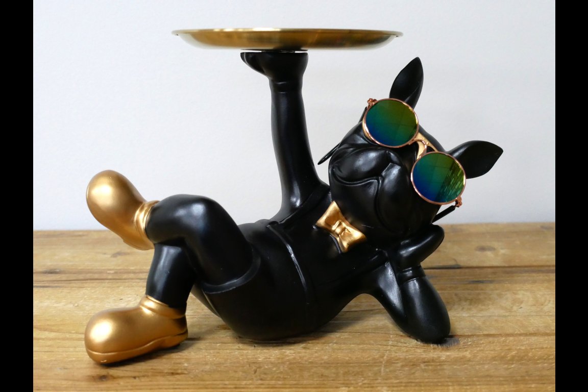 Dog With Tray