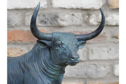 Bull