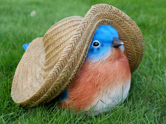 Mexican Blue Tit