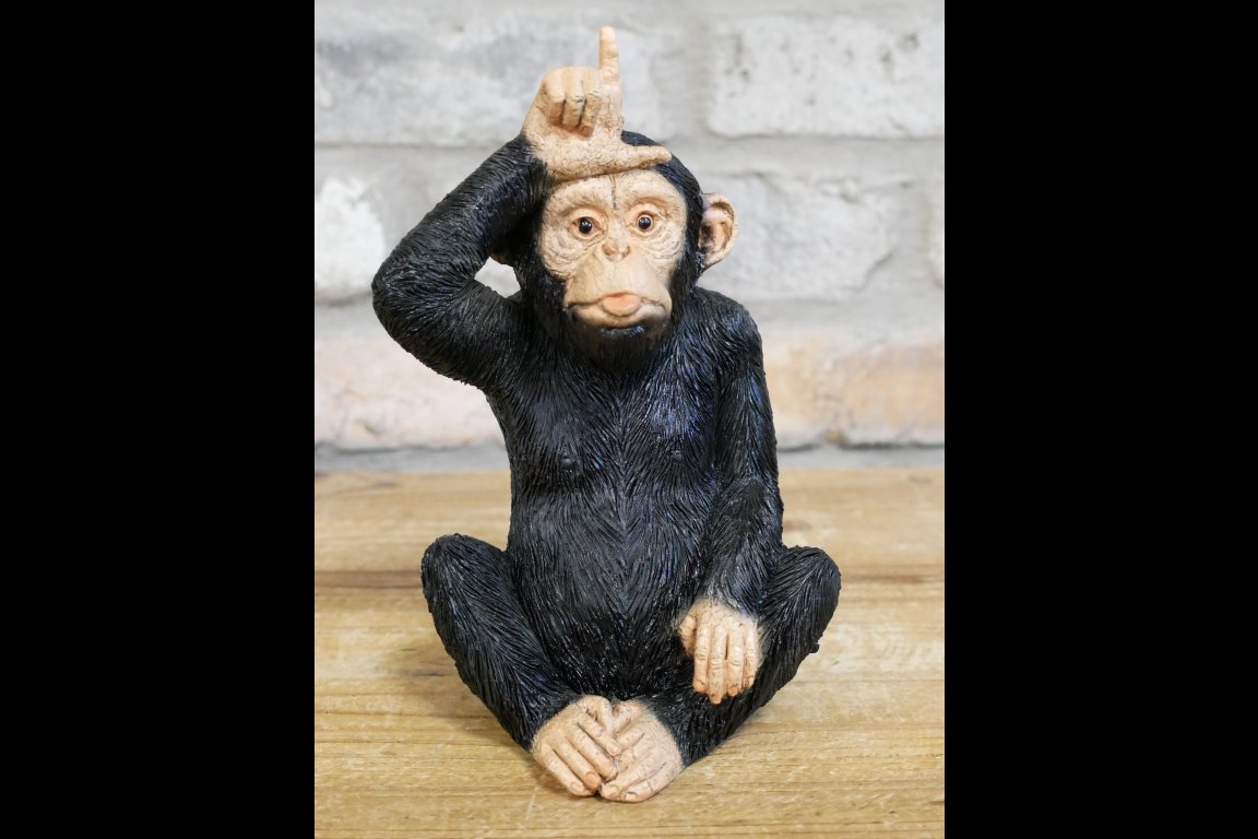 Little Loser Monkey