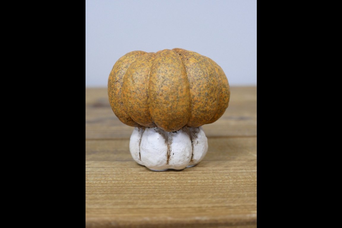 Small Pumpkin
