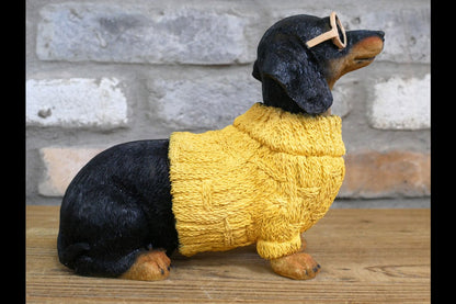 Dachshund Dog In Sweater