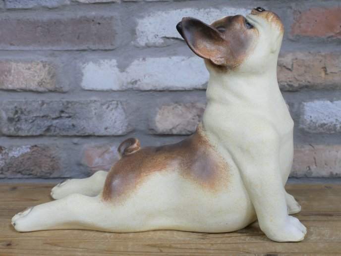 Stretching Dog