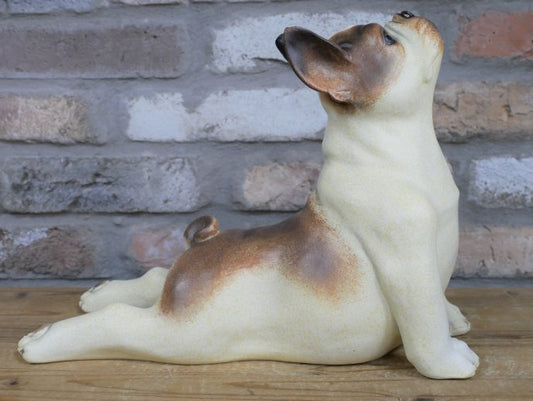 Stretching Dog