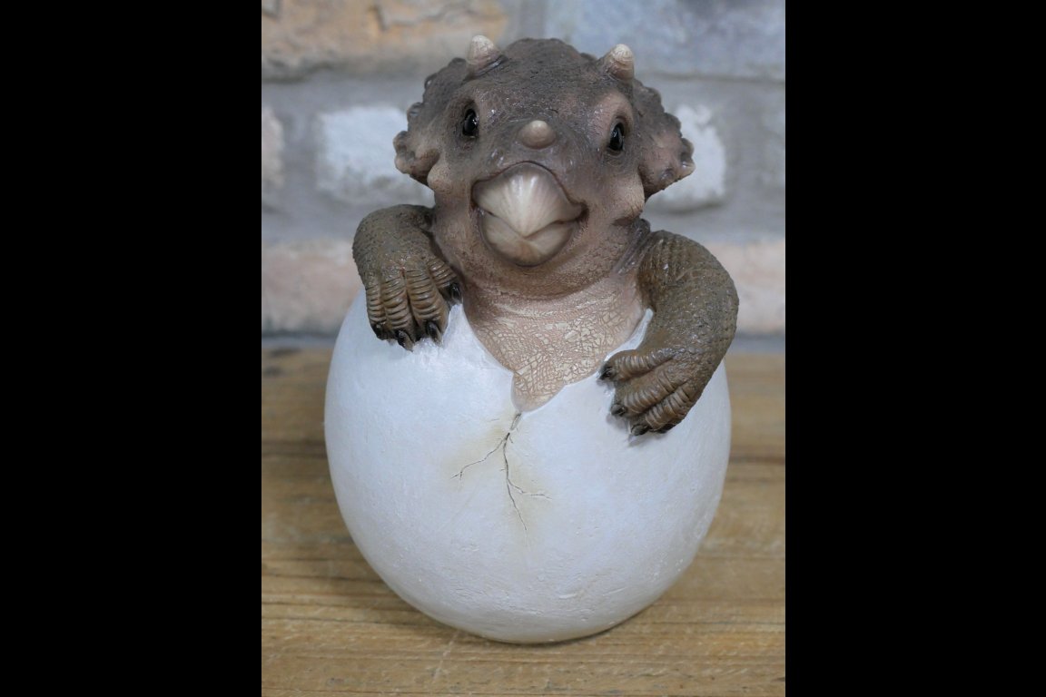 Dinosaur Egg