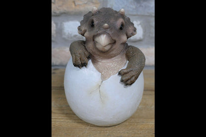 Dinosaur Egg
