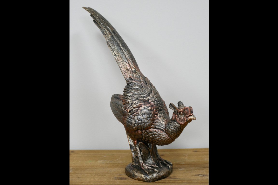 Pheasant