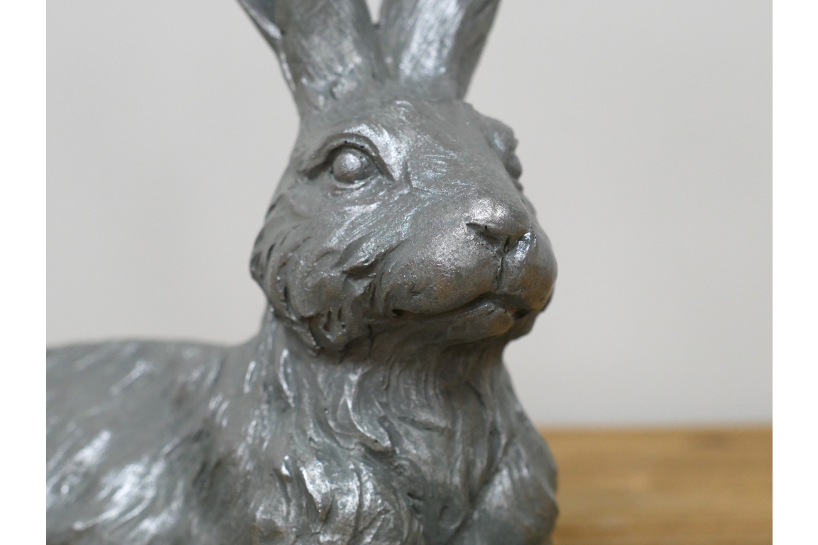 Laying Hare