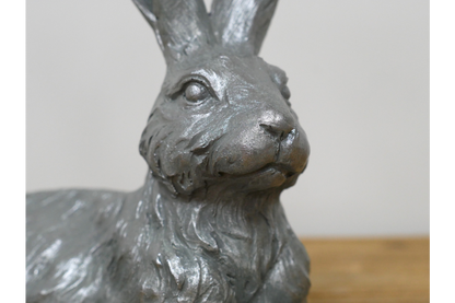 Laying Hare