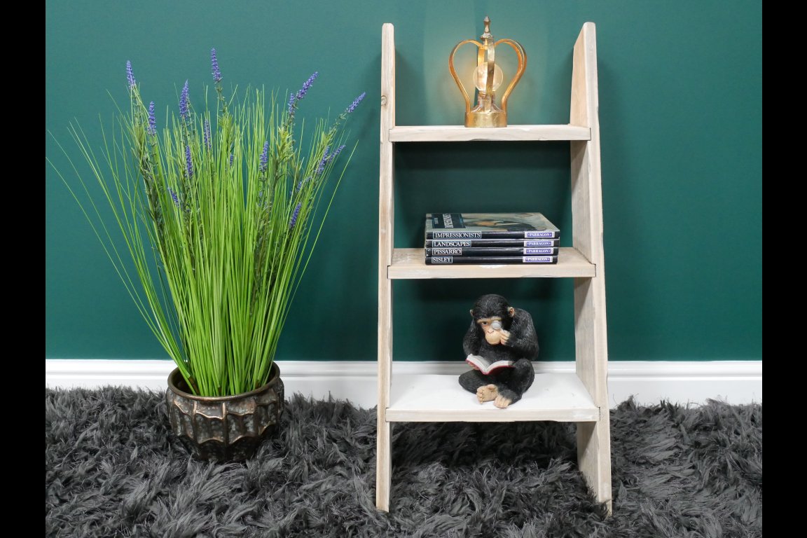 Decorative Ladder