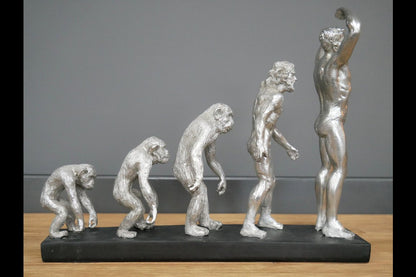 Human Evolution