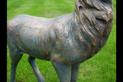 Stag