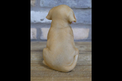 Bubblegum Dog