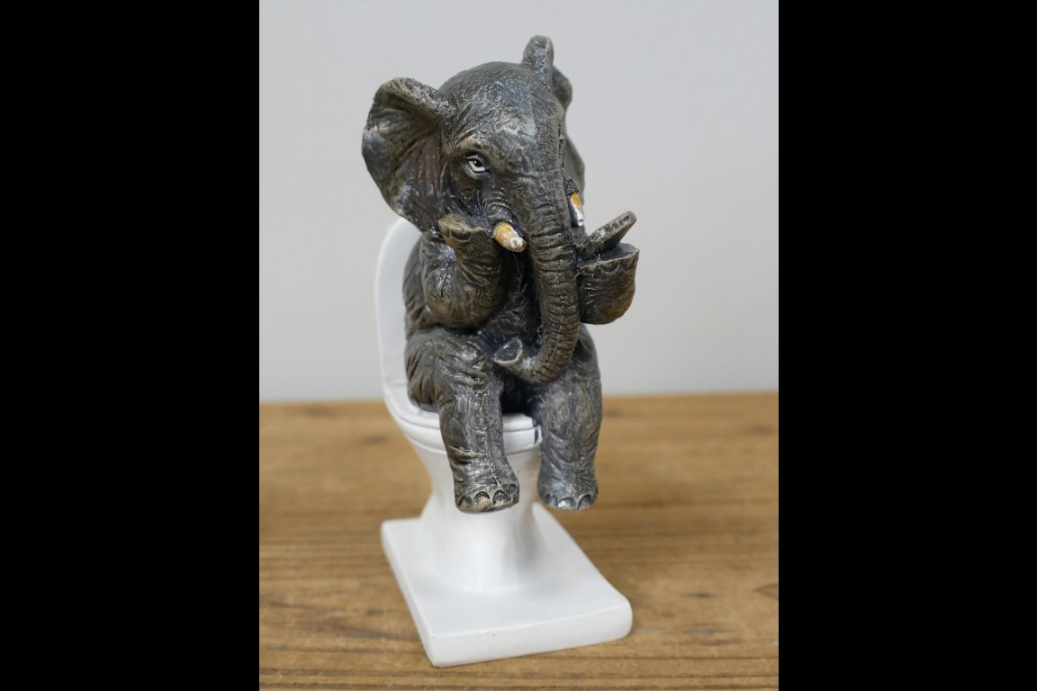 Elephant On The Loo