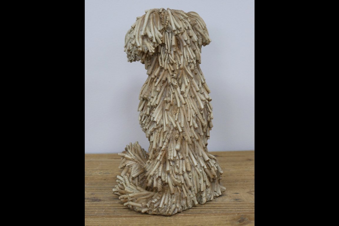 Sitting Shaggy Dog