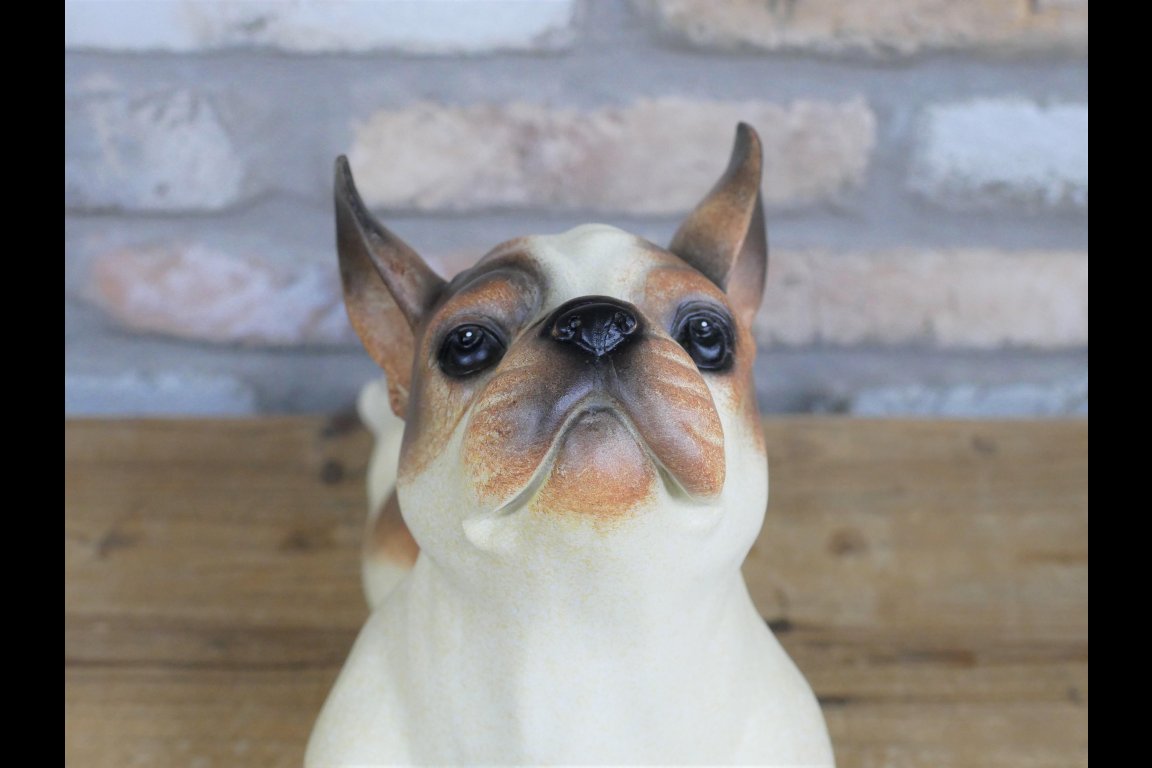Stretching Dog